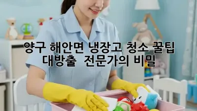 양구 해안면 냉장고 청소 꿀팁 대방출! ✨ 전문가의 비밀🤫